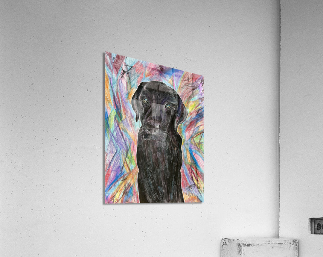 2085382 :: Impression acrylique