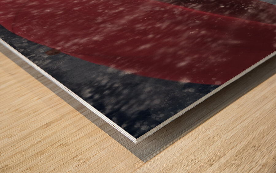 2040670 :: Impression sur bois